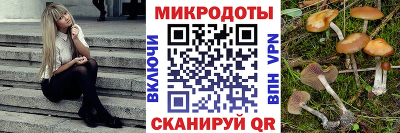 Псилоцибиновые грибы мицелий  Кинель 